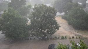 В Западна България вали силен дъжд на много места а