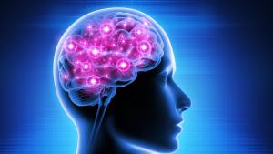 Изследователи: Неврологично разстройство може да е помогнало за оцеляването на човечеството