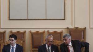 Стефан Янев парламент