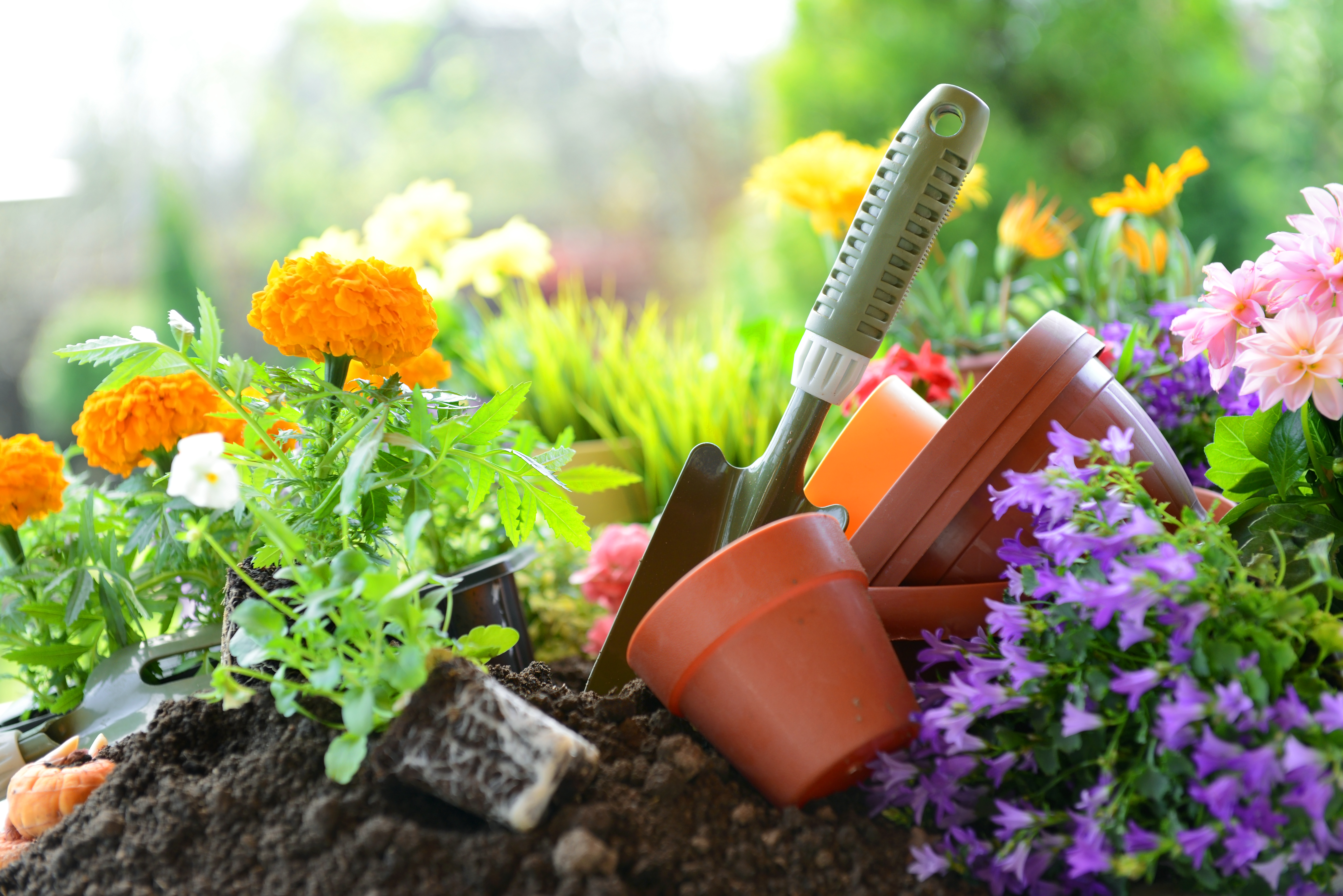<p><strong>Градинарство</strong></p>

<p>Според експерти, градинарството и друг физически труд на чист въздух укрепват тялото не по-лошо от фитнеса. Така че, когато се занимавате с градинарство, садите или копаете картофи дори - &nbsp;наистина укрепвате тялото си.</p>