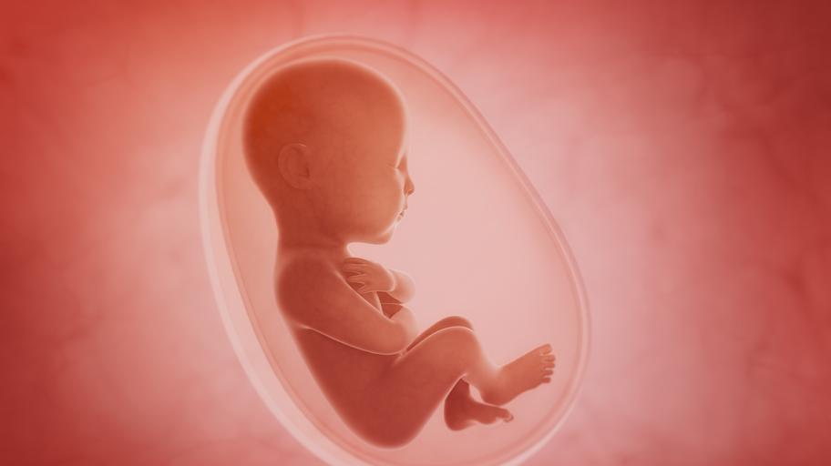 Изумителни снимки: Неродени бебета се усмихват в утробата