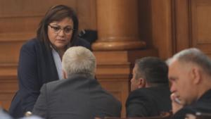 парламент Корнелия Нинова