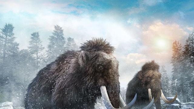 Първите хора в Аляска се заселват близо до вълнестите мамути