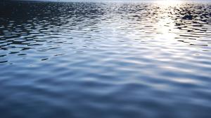 Маратонецът Теодор Цветков започна 72 часово плуване в езерото Липник   Според