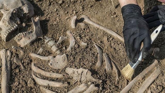 Археолози откриха добре запазен скелет при разкопки в Помпей