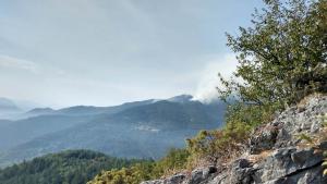 пожар Родопите