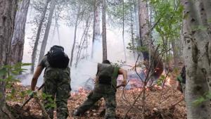 пожар село Югово