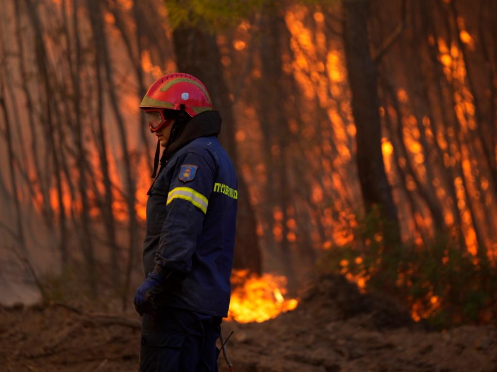Двама души загинаха при горски пожари в американския щат Ню