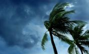 Ураганът Идън връхлетя Куба, насочен е към Флорида