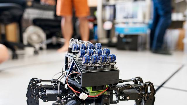 Насекоми биороботи ще спасяват оцелели от земетресения 