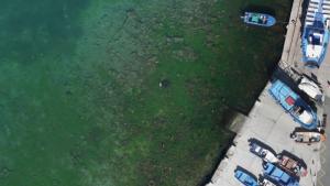 Радослава Бекова