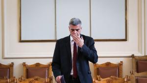 Стефан Янев