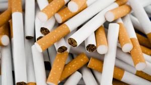 Иззеха 50 000 къса контрабандни цигари край Севлиево съобщиха от