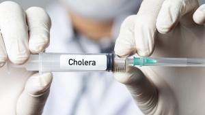 Разпространението на холера в няколко сирийски района представлява сериозна заплаха
