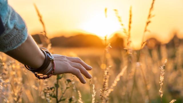 Изследване: Отношението на човек към природата се наследява