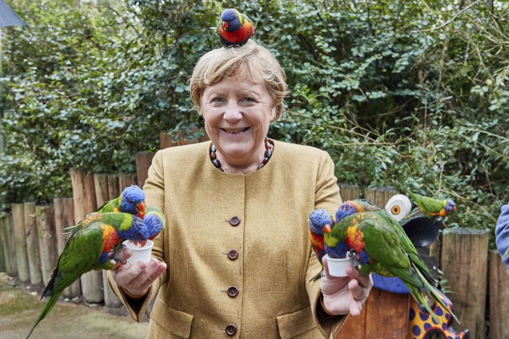 40 снимки, които са направени в точния момент и показват канцлера на Германия Ангела Меркел в различна светлина.