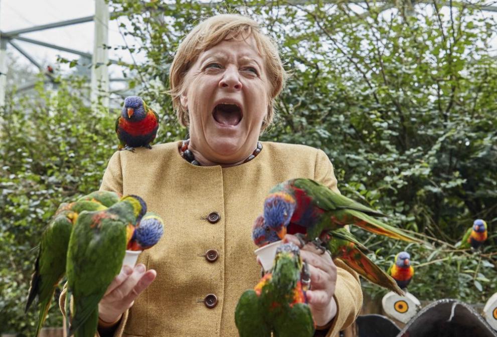  https://m.netinfo.bg/media/images/47928/47928968/991-ratio-angela-merkel-papagali.jpg 