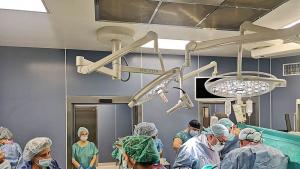 трансплантация ВМА черен дроб