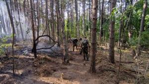 пожар Карлово