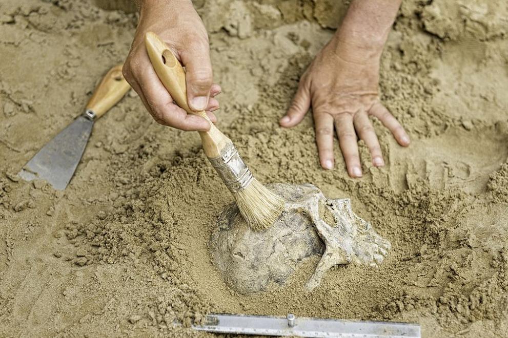 Общо 301 древни гробници са открити неотдавна при археологически разкопки