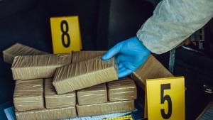 Нидерландски митничари задържаха над 1 6 тона кокаин скрит в товари