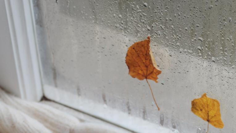  Дневен хороскоп за 29 септември, сряда 