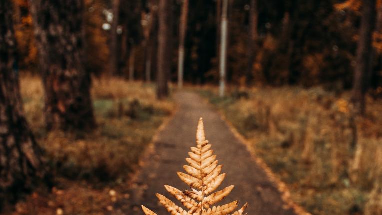  ТЕСТ: Избери чаша и виж какъв съвет би трябвало да последваш през днешния ден 