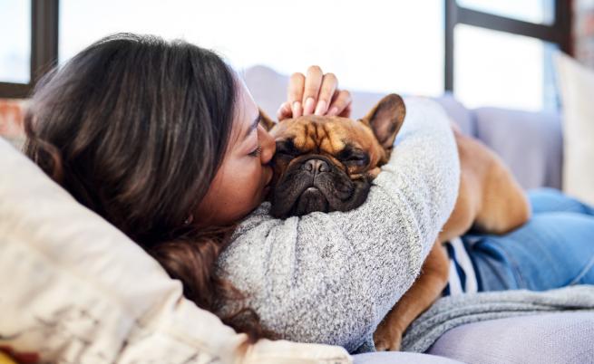 Учени: Кучетата могат да надушват стреса