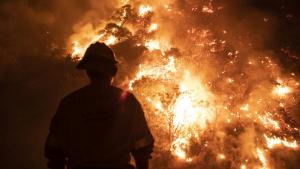 Пожар гори вече от почти шест часа в Калояновско Горят