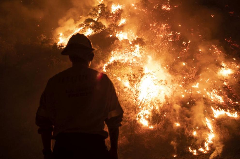 Доброволци, горски служители и пожарникари локализираха няколко огнища край пловдивското