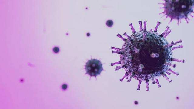 Учени от Сингапур: Може да се появи и вирус SARS-CoV-3
