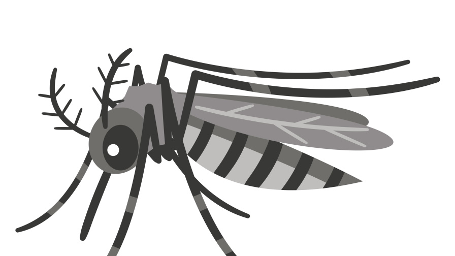 <p><strong>4. Ден на комарите</strong><br />
Въпреки името си денят на комарите е посветен не на досадните насекоми, а на борбата срещу тях. Празникът, честван на 20 август всяка година, е част от кампанията на ООНЕ за справяне с маларията (чиито основни преносители са именно комарите).</p>