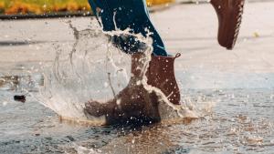 В петък в Източна България ще вали дъжд в Западна