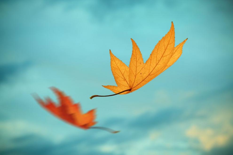 В сряда ще е предимно слънчево. До обяд на места