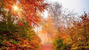 Във вторник ще е предимно слънчево Сутринта в отделни райони