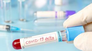 297 нови случая на коронавирус са регистрирани в област Хасково