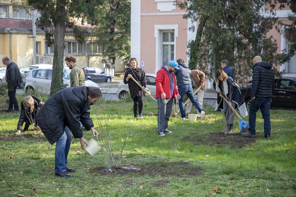  артисти 