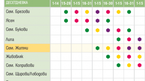 Сенна хрема удря 2 милиона в парка