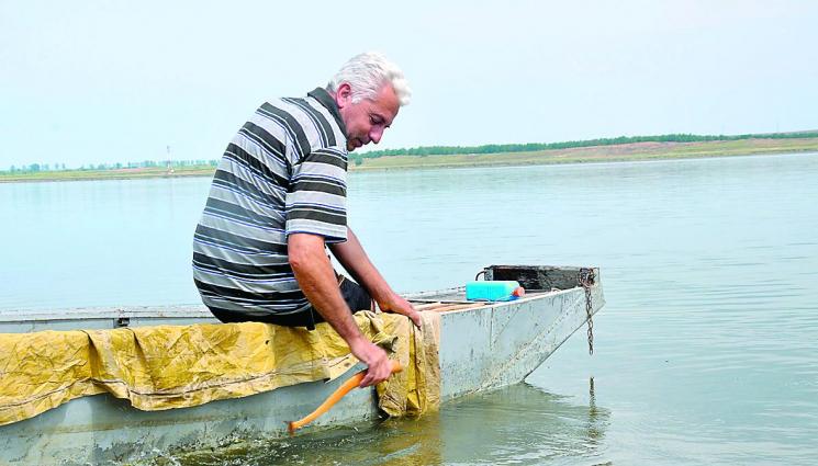 Резбар е страшилището за сомовете у нас - Резбар е страшилището за сомовете у нас