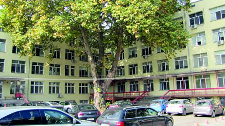 Не се чувствам герой че спасих петима за ден