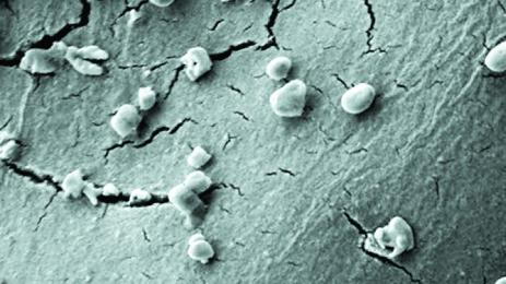 Откриха микроб който се храни с метеорити