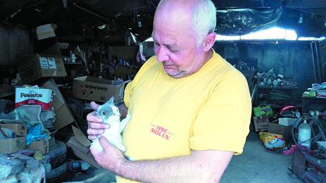 Кучета и котки прохождат заради Митко от Русе