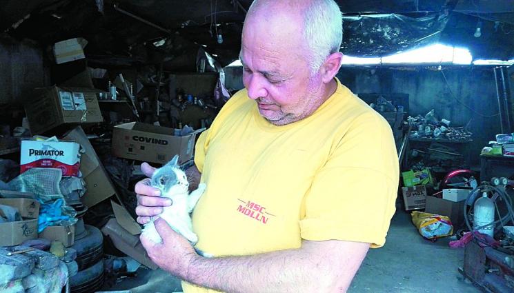 Кучета и котки прохождат заради Митко от Русе - Кучета и котки прохождат
заради Митко от Русе