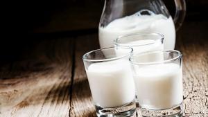 Кравето кисело мляко е традиционна храна за българите от стотици