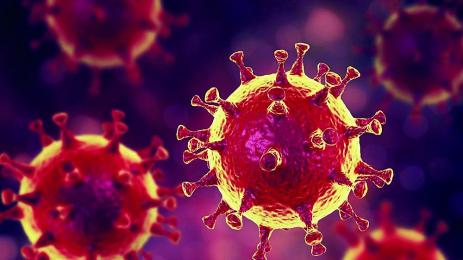 Абитуриент издъхна от коронавирус месец след бала