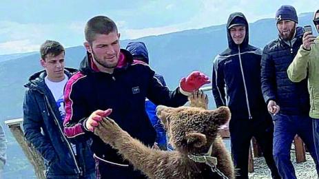 Плашат Хабиб със змия