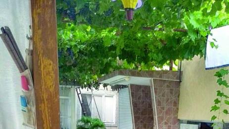 Германка с български корени откри роднини в Свиленград