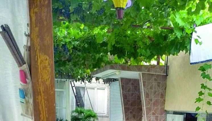 Германка с български корени откри роднини в Свиленград - Германка с български корени откри роднини в Свиленград