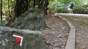 Обновена маркировка улеснява туристи и спортисти на Витоша