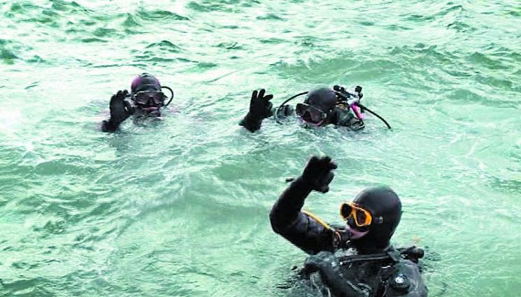Водолази чистят морето преди скока за кръста - АГРО: Водолази прибират салати от подводна градина